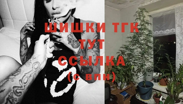 герыч Бердск