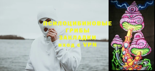 спиды Ачинск