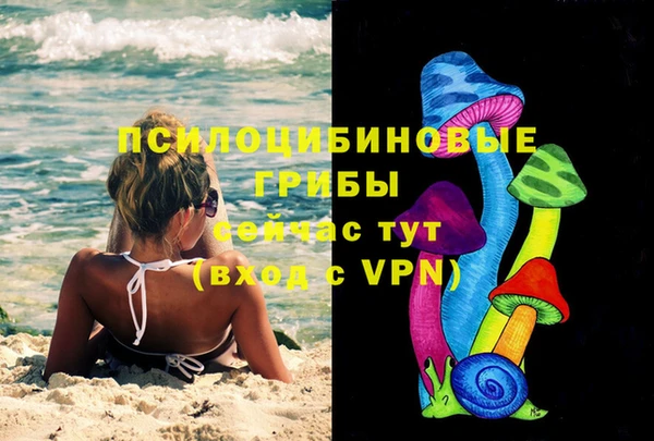 стафф Алексеевка