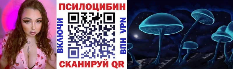 наркота  Бабушкин  mega ссылки  Галлюциногенные грибы Psilocybine cubensis 