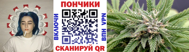 Бошки марихуана гибрид  Бабушкин 
